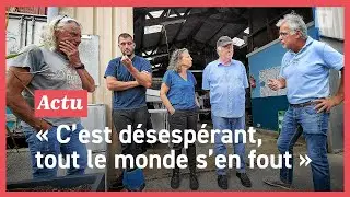Dans les Côtes-d'Armor, les producteurs de moules excédés face à la prédation des araignées de mer