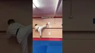 Improve Your Roundhouse Kick 