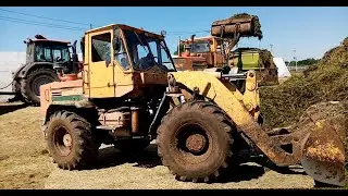 Погрузчик Т-156 (ТО-25) и Беларус 3022 на заготовке кормов.