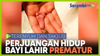 Perjuangan Hidup BAYI PREMATUR, Memenangkan Penghargaan di Eropa
