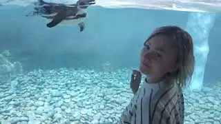4 апреля 2024 г.(2)