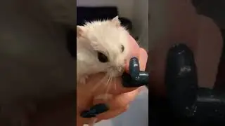 В органы Опеки позвоню! Скажу что меня бьют! 