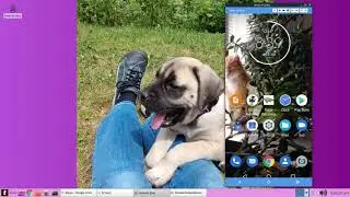How to Mirror your Android Screen to PC , using Vysor app.