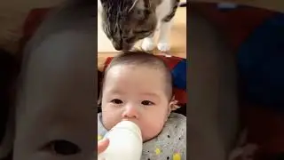 Funny Cursed Cat Videos that Will Make You LOL! 😻🤣