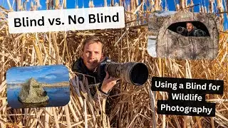 Improve your Wildlife Photography by using a Photo Blind. How & when to use a blind for best results