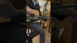 Martin 1974 D-28 Acoustic