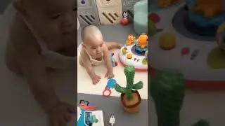 Talking cactus is so interesting, look at scaring the babies🤣