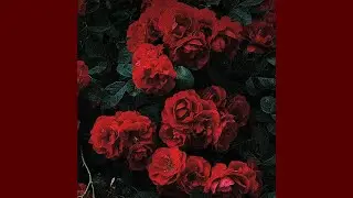 Taleal Bedru Aleyna - (English Subtitle)