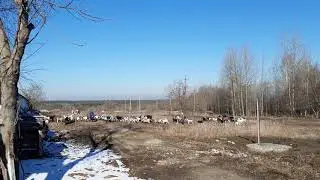 Хороший весенний день для прогулок