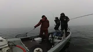 Ловля щуки поздней осенью! Воблер, дракон или pig shad?