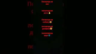 10 июня 2023 г.