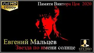 Евгений Мальцев - Звезда по имени солнце (слова и музыка В.Цой и группа "Кино")