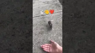 Хочу на ручки ❤️ I want to arms