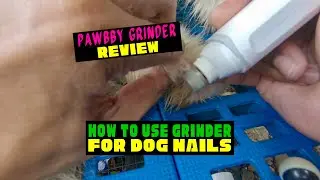 Pawbby Nail Grinder Review