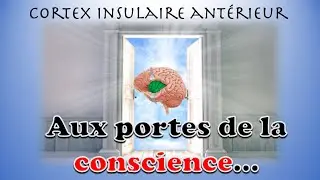 Cortex Insulaire : aux portes de la conscience ?