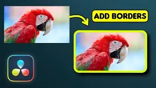 How To Use BORDERS To PHOTO/VIDEO In Davinci Resolve