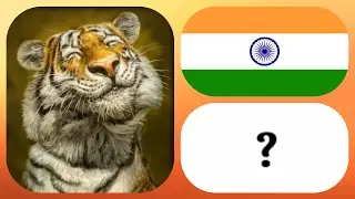 Comparison: Tiger population by country 2022