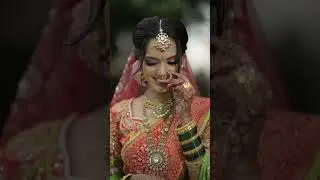 #NIKKOR Z 85mm f/1.2 S lens, the ultimate lens for bokeh