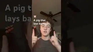 Witch will you pick