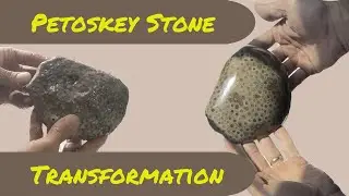 The Challenges of polishing Large Petoskey Stones (Ancient Fossilized Coral)
