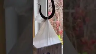 Проверяем старый безмен 