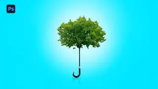 Tree and umbrella Photoshop manipulation| tutorial