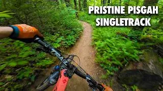 THEY ARE LIARS!! Black mountain is STILL one of the best Pisgah laps