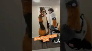Behind the Fursuits 