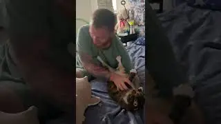 Котя стойко переносит процедуры(ну почти) 