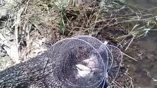 Зато отдохнул на природе