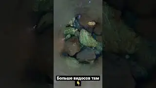 Опустил GoPro под воду, и…