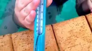 Ebony jumping into a freezing pool