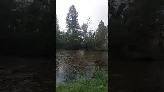 Video of Jocko Hollow Campground, MT from Alyessa L.