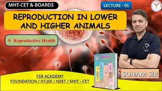 Class 12 Lecture -5 | Reproduction in Lower and Higher Animals | #ysracademy | Maharashtra Boards
