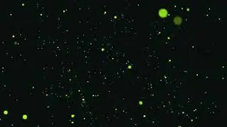 FIREFLIES EVERYWHERE BLACK SCREEN EFFECT