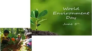 World Environment Day / june 5 / Kids Environment day Activities