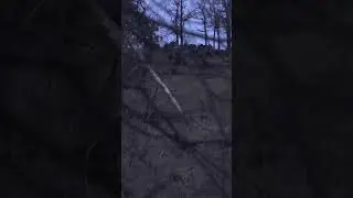 Big flock! #nwtf #turkeyhunting #wildturkey