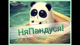 ПАНДУСИ!!! Видео для моей подруги и для её канала Мини- Панда