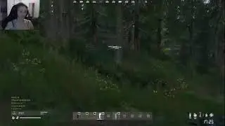 DayZ Standalone