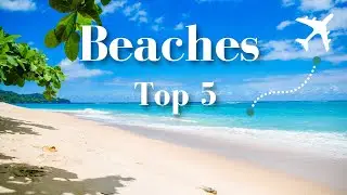 Top 5 Beaches You Must Visit - Most Beautiful Beaches in the World