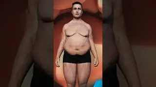 Живот Растёт из-за ЭТИХ Продуктов!