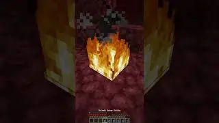 The Craziest Minecraft Facts! 