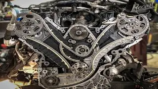 Ford Focus 3 XQDA 2.0 timing belt replacement (Omsk)