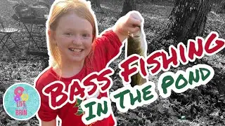 Bass Fishing in the Pond! How many can we catch?