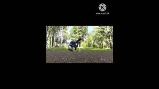 Полет во сне и на яву