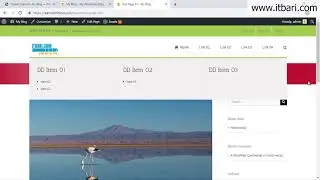 08  Theme Option 06