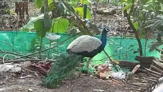 ഡാൻസ് ചെയ്യുന്ന വീഡിയോ എടുക്കാൻ പോയതാ 😄😄