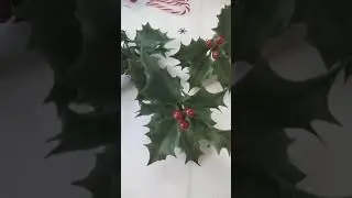 Ветка 