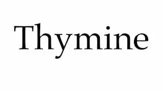 How to Pronounce Thymine
