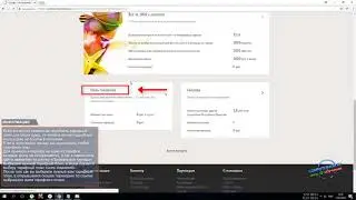 Как выбрать тарифный план билайн